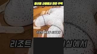 놀라운 신기술 풍선 집