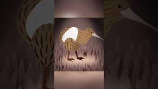 Small Kiwi Bird Lays Giant Eggs 