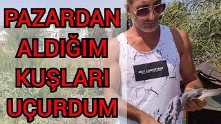 25 TL DEN ALDIĞIM GÜVERCİNLERİ UÇURDUM.HEPSİ SÜRPRİZ YAPTİ