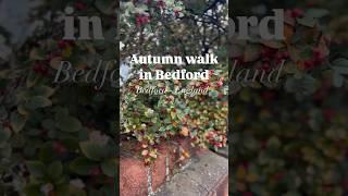 The most beautiful season of the year  Bedford - England #Shorts