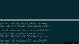 Sending commands from Vim to R like Rstudio with just terminal