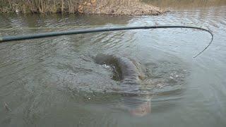 Fishing for Big Pike from the shore with Lures