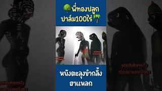 พี่ทองปลูกปาล์ม - หนังตะลุงน้องเดียว