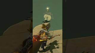 #shoot the lil dandelion #korok seed some ruins by gerudo town#tearsofthekingdom