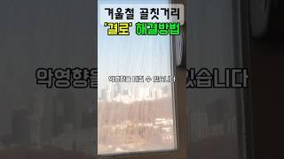 겨울철 창문 결로 현상 해결하는 방법 #shorts #short #생활꿀팁 #꿀단지