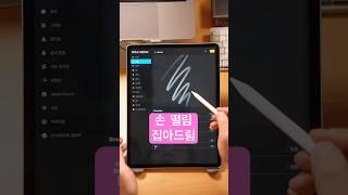 그림초보 떨리는 선?  손? 다 잡아드림, 아이패드 브러시 설정법