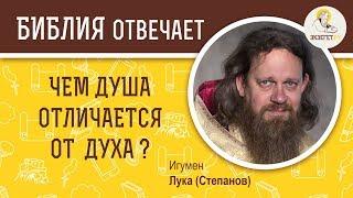 ЧЕМ ДУША ОТЛИЧАЕТСЯ ОТ ДУХА? Дух, душа и тело. О личности - Библия отвечает. Игумен Лука (Степанов)