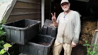 phat ninja foodforest red wiggler and hot compost explained in detail