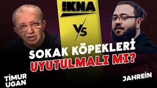 Sokak Köpekleri Uyutulmalı mı? Jahrein vs Timur Ugan