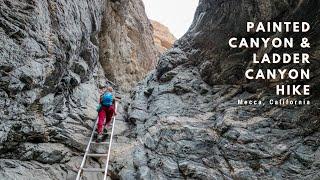 Painted Canyon and Ladder Canyon Hike Near Palm Spring, California