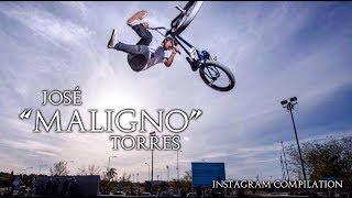 BMX - JOSÉ "MALIGNO" TORRES GIL - INSTAGRAM COMPILATION 2017