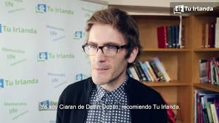 Tu Irlanda - Delfin English School