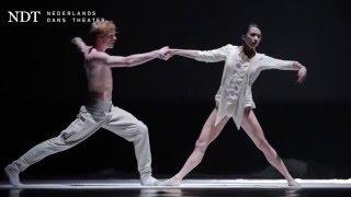 Nederlands Dans Theater (NDT)