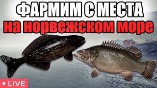 ФАРМИМ СЕРЕБРО НА МОРЕ • РОЗЫГРЫШИ • РР4 СТРИМ • РУССКАЯ РЫБАЛКА 4