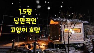 길고양이 1.5평짜리 집만들기! 6탄