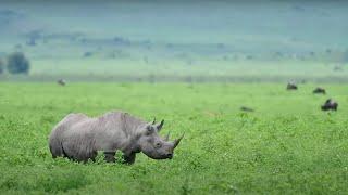 Dispatch from the bush: Hunt's Photo's Don Toothaker from Ngorongoro Nyumba Camp