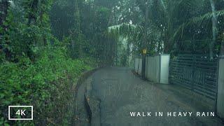 Walking in Heavy Rain | Monsoon Rainy Season in India | The beauty of the Indian countryside | ASMR