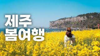 recommended spots for spring trips to the west of Jeju Island