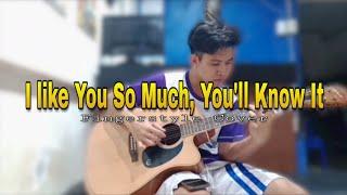 I Like You So Much, You'll Know It | Fingerstyle Covered By Art  Lariosa