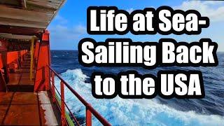 Life at Sea (Sailing Back to USA)