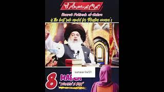 is the best role model for Muslim women's #allamakhadimhussainrizvi #tlpmedia #ytshorts #youtube