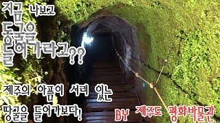 제주도 어디까지 가 봤니? #5 제주평화박물관