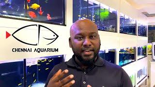 CHENNAI AQUARIUM | STORE REVIEW |