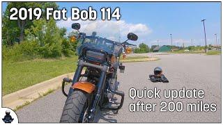 2019 FXFBS Fat Bob 114 - Quick update after 200 miles - And that 15" windshield is no bueno!