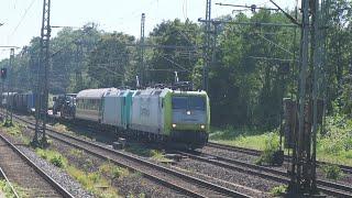 Züge in Frankfurt Mit Br 445 112 407 412 1440 430 193 411 429 403 423 442 642 147 146 446 185 101