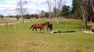 Cruiz (5yr) and Levi (18yr) playing 3-9-14 :) kyle lizana