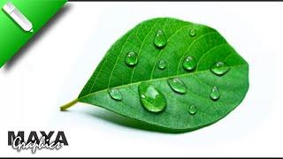 Water Drop Effect in Corel draw | How to Create Water Drop | Coreldraw tutorial | Maya Graphics