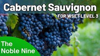 The Noble Nine - Cabernet Sauvignon For WSET Level 3