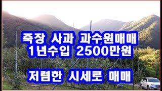 포항부동산 죽장면 사과과수원 저렴한가격으로 매매