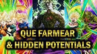 Parte 3 y Skill Orbs! Que farmear y guia de Hidden Potentials WWC 2024! (DBZ: Dokkan Battle)