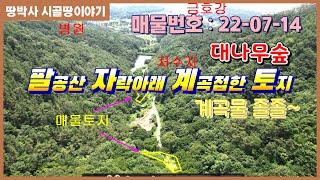 (22-07-14) 금호강 인근 산골짜기 시냇물 졸졸 흐르는 산자락 주말농장용 토지. 무엇을 해도 좋을 대나무 숲으로 우거진 청정지역 숲세권 아담한 토지.