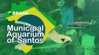 A Short Visit at the Oldest Aquarium in BRAZIL  - Municipal Aquarium of Santos |