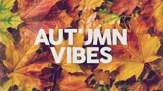 Autumn Vibes - Chill & Relax - Cool Music