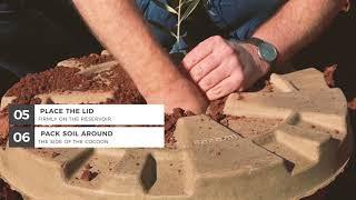 Cocoon: How to plant (Land Life Company)