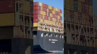 Large MSC Container Ship