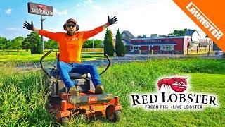 We MOWED Red Lobster's Lawn for FREE As They Face BANKRUPTCY!