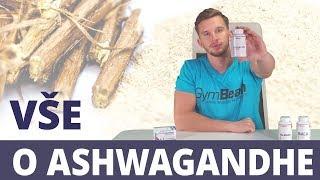 Ashwagandha a její účinky na zdraví | GymBeam | Fitness Academy