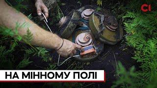 «Тут ще одна яма з мінами…», – на мінному полі з саперами +ENG SUB