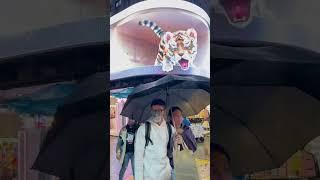 Taiwan Walk | I Think I Like When It Rains | 我想我喜歡下雨的時候