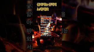 삼각지 로타리에 궂은 비는 오는데~ 돌아가는 삼각지 배호 #트로트 #트롯