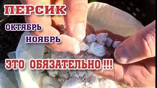 ПЕРСИК / ОСЕНЬ - ЭТО ОЧЕНЬ ВАЖНО!!! / Осенние работы в саду