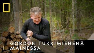 Gordon tukkimiehenä Mainessa I Gordon Ramsayn makuseikkailut I National Geographic Suomi