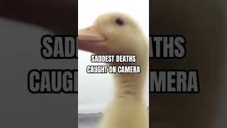 Saddest Deaths Caught On Camera  #sad #krunker #death