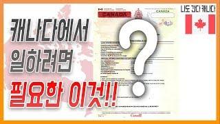 Canada Work Permitㅣ캐나다 워킹비자에 대한 모든것ㅣ캐나다 워크퍼밋