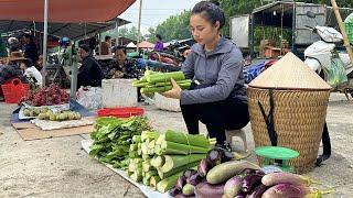 FULL VIDEO: 60 Days of harvesting bok choy, cantaloupe, and eggplant to sell at the market