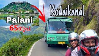 പളനി വഴി കൊടൈക്കനാൽ ഒരു രക്ഷയും ഇല്ല | palani to kodaikanal